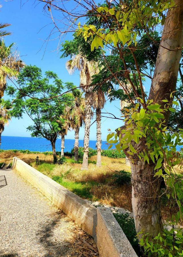 Villa Aphrodite By The Sea Pafos Zewnętrze zdjęcie